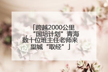 跨越2000公里，“国培计划”青海数十位班主任老师来望城“取经”