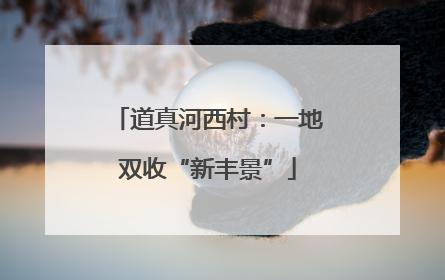 道真河西村：一地双收“新丰景”