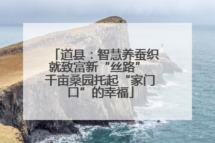 道县：智慧养蚕织就致富新“丝路” 千亩桑园托起“家门口”的幸福