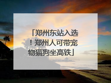 郑州东站入选！郑州人可带宠物猫狗坐高铁