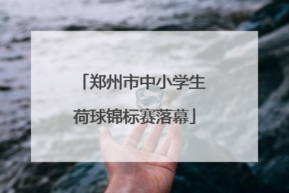 郑州市中小学生荷球锦标赛落幕
