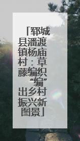 郓城县潘渡镇杨庙村：草藤编织“编”出乡村振兴新图景