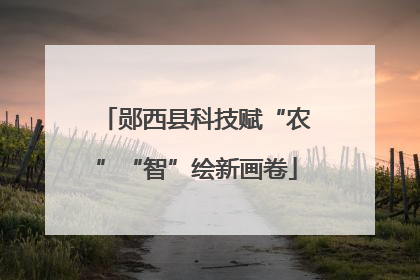 郧西县科技赋“农”“智”绘新画卷