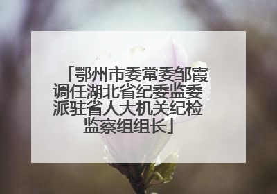 鄂州市委常委邹霞调任湖北省纪委监委派驻省人大机关纪检监察组组长