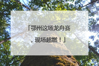 鄂州这场龙舟赛，现场超燃！