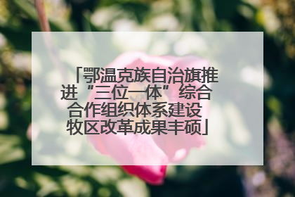 鄂温克族自治旗推进“三位一体”综合合作组织体系建设 牧区改革成果丰硕