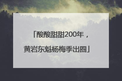 酸酸甜甜200年，黄岩东魁杨梅季出圈