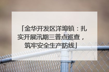 金华开发区洋埠镇：扎实开展汛期三普点巡查，筑牢安全生产防线