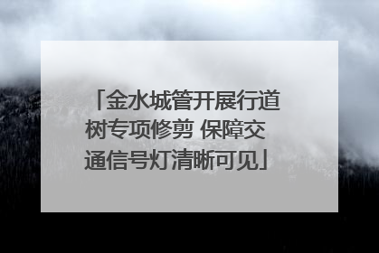 金水城管开展行道树专项修剪 保障交通信号灯清晰可见