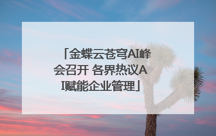 金蝶云苍穹AI峰会召开 各界热议AI赋能企业管理