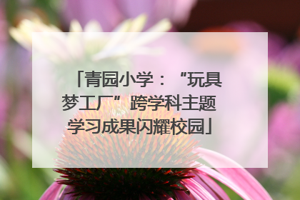 青园小学:“玩具梦工厂”跨学科主题学习成果闪耀校园