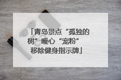 青岛景点“孤独的树”暖心“宠粉” 移除健身指示牌