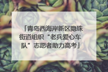 青岛西海岸新区隐珠街道组织“老兵爱心车队”志愿者助力高考