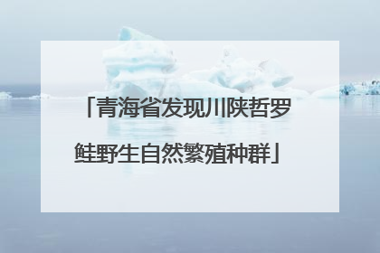 青海省发现川陕哲罗鲑野生自然繁殖种群