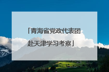 青海省党政代表团赴天津学习考察