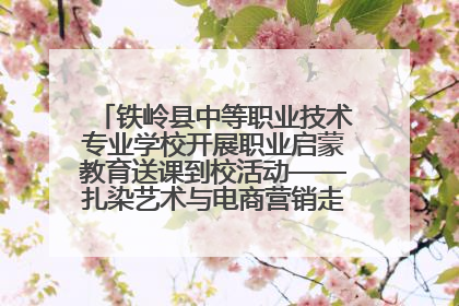 铁岭县中等职业技术专业学校开展职业启蒙教育送课到校活动——扎染艺术与电商营销走进熊官屯镇中心小学