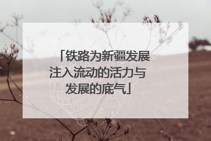 铁路为新疆发展注入流动的活力与发展的底气