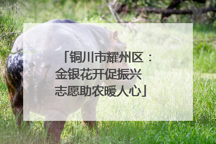 铜川市耀州区：金银花开促振兴 志愿助农暖人心