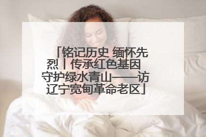 铭记历史 缅怀先烈丨传承红色基因 守护绿水青山——访辽宁宽甸革命老区