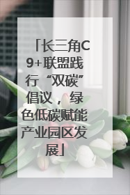 长三角C9+联盟践行“双碳”倡议， 绿色低碳赋能产业园区发展