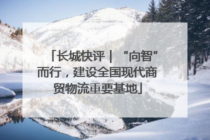 长城快评｜“向智”而行，建设全国现代商贸物流重要基地