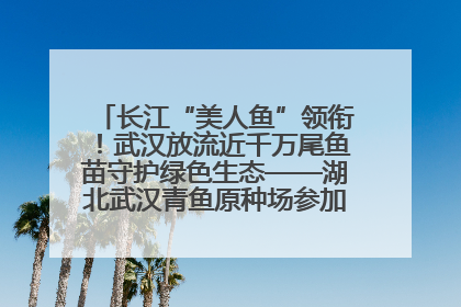 长江“美人鱼”领衔！武汉放流近千万尾鱼苗守护绿色生态——湖北武汉青鱼原种场参加2025年“全国放鱼日”增殖放流活动