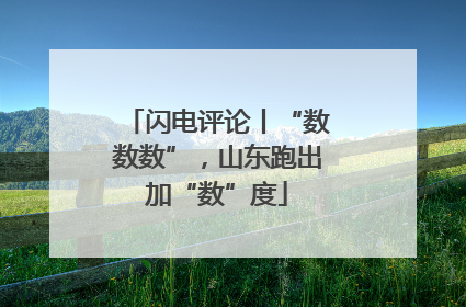 闪电评论丨“数数数”，山东跑出加“数”度