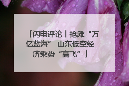 闪电评论丨抢滩“万亿蓝海” 山东低空经济乘势“高飞”