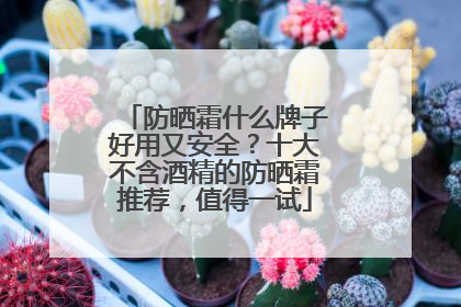 防晒霜什么牌子好用又安全？十大不含酒精的防晒霜推荐，值得一试