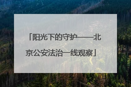 阳光下的守护——北京公安法治一线观察
