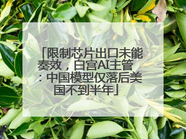 限制芯片出口未能奏效，白宫AI主管：中国模型仅落后美国不到半年