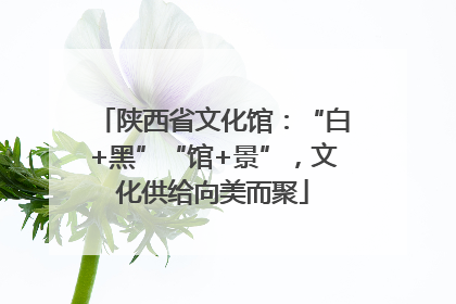 陕西省文化馆：“白+黑”“馆+景”，文化供给向美而聚