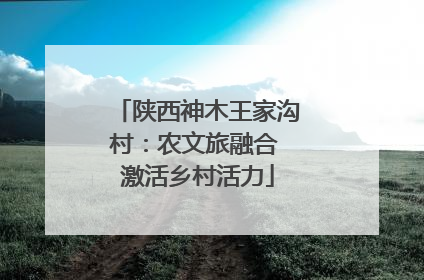 陕西神木王家沟村：农文旅融合 激活乡村活力