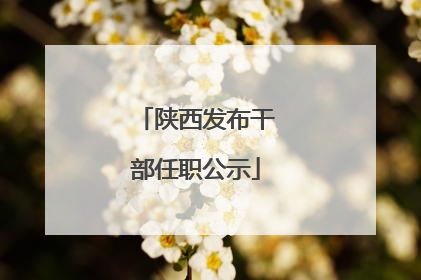 陕西发布干部任职公示