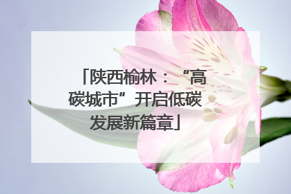 陕西榆林：“高碳城市”开启低碳发展新篇章