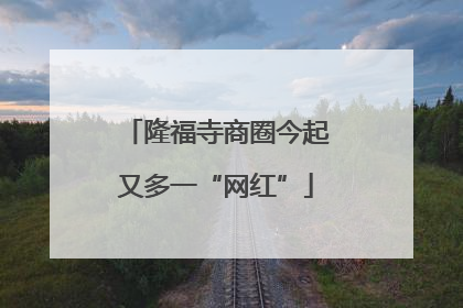 隆福寺商圈今起又多一“网红”