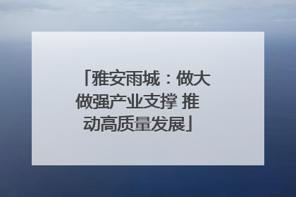 雅安雨城：做大做强产业支撑 推动高质量发展