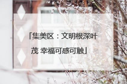 集美区：文明根深叶茂 幸福可感可触