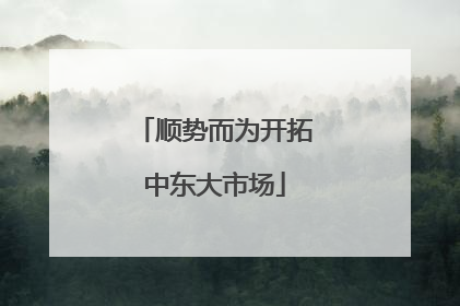 顺势而为开拓中东大市场