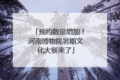 预约数量增加！河南博物院暑期文化大餐来了