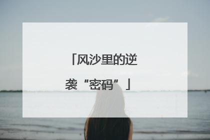 风沙里的逆袭“密码”