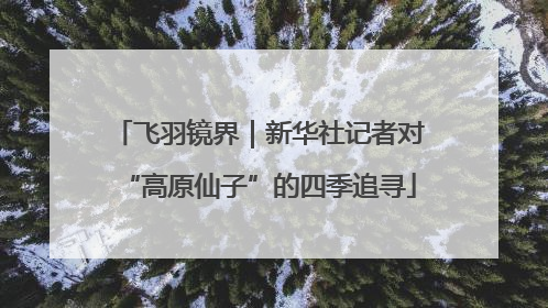飞羽镜界｜新华社记者对“高原仙子”的四季追寻