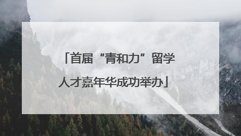 首届“青和力”留学人才嘉年华成功举办
