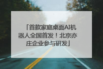 首款家庭桌面AI机器人全国首发！北京亦庄企业参与研发