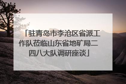 驻青岛市李沧区省派工作队莅临山东省地矿局二四八大队调研座谈