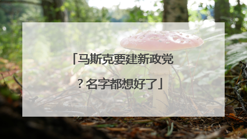 马斯克要建新政党？名字都想好了