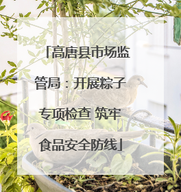 高唐县市场监管局：开展粽子专项检查 筑牢食品安全防线