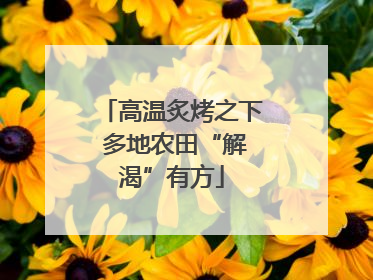 高温炙烤之下 多地农田“解渴”有方