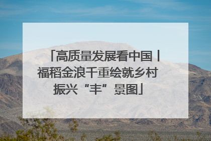 高质量发展看中国丨福稻金浪千重绘就乡村振兴“丰”景图