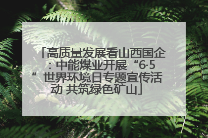 高质量发展看山西国企：中能煤业开展“6·5”世界环境日专题宣传活动 共筑绿色矿山